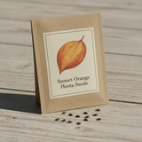 Sunset Orange Hosta seed packet bag